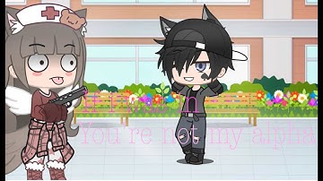 If I In, “You’re Not My Alpha.”