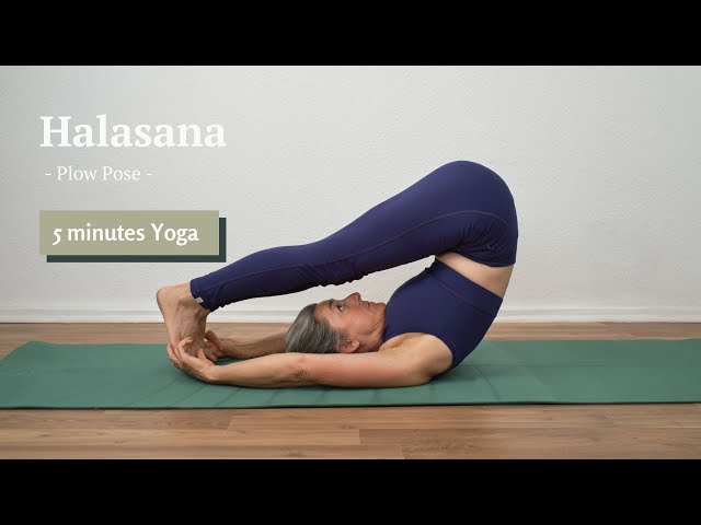 Halasana (plow pose) with @all_life_is_yoga