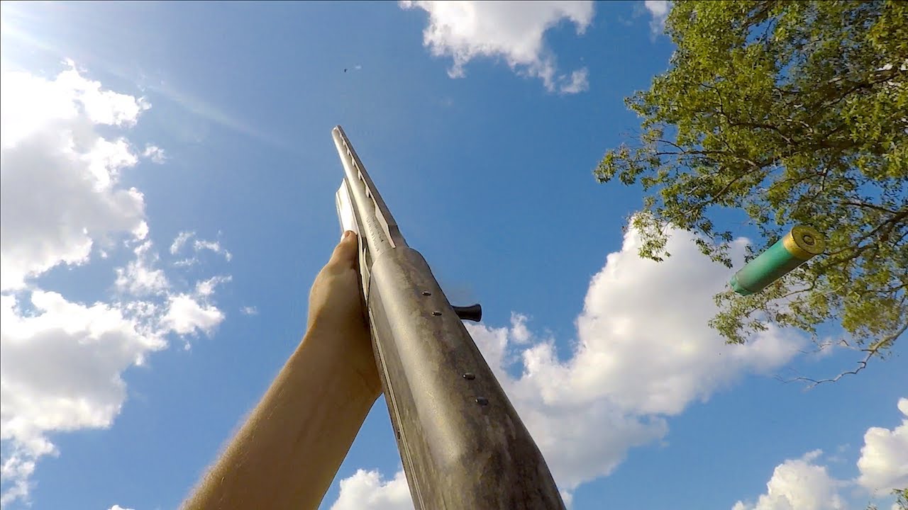 Dove Hunting Opening Day 2019 