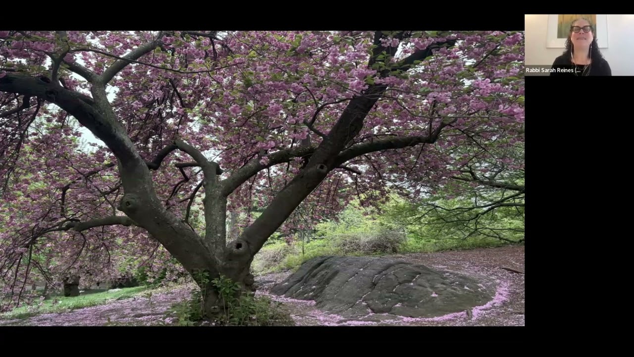 Monday Morning Mindfulness: April 27, 2026