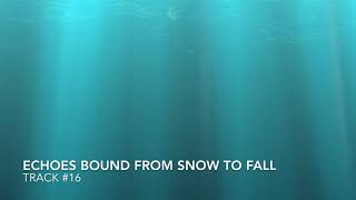 Fast Track #16 - Echoes Bound from Snow to Fall