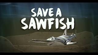 Save a Sawfish English Angelina Joshua