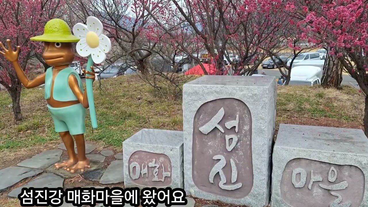 광양 다압면 매화마을 광양 매화축제