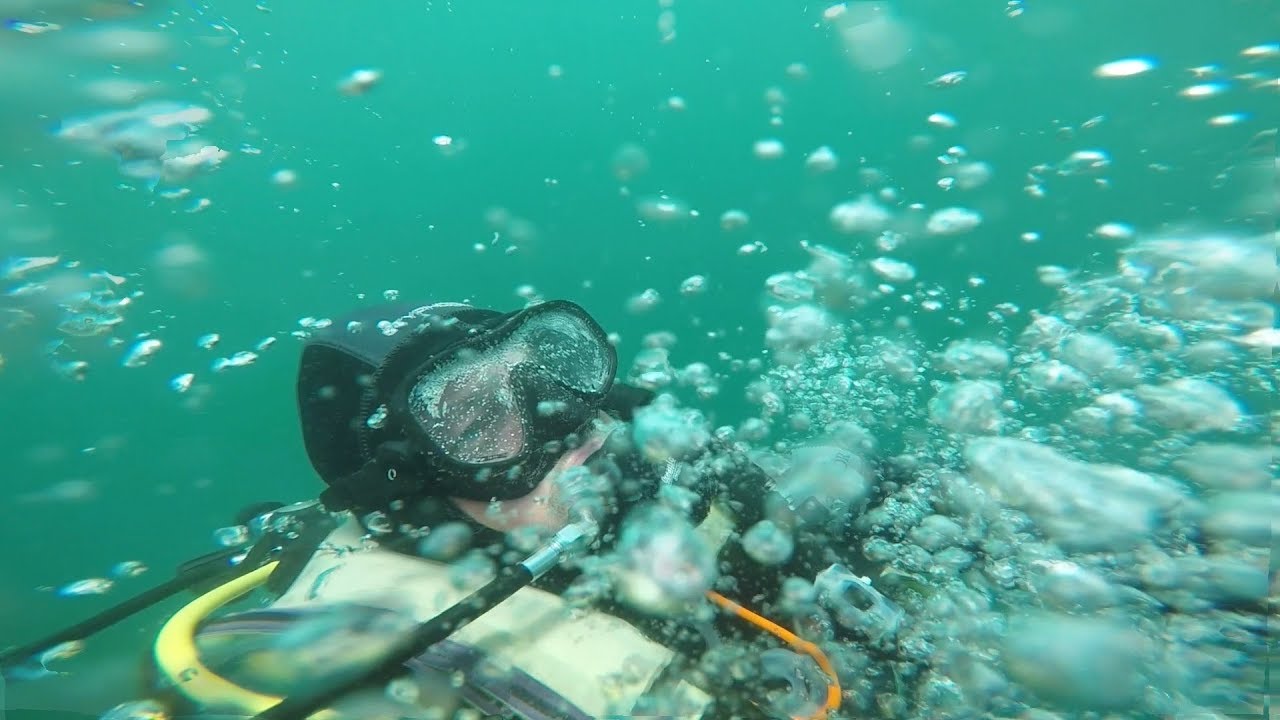 Tripico to the Fleur de Lys