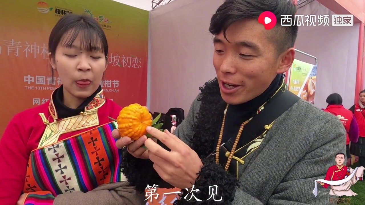 阿斌清晨就为表妹穿藏装，要干嘛呢？这样的卖力的阿斌大家认可吗|嘉绒阿斌 - YouTube