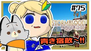 【FF14】ぬいぐるみはショックを受けた！！＃75 ※ネタバレ注意