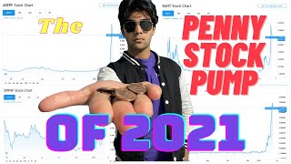 The PENNY STOCK PUMP of 2021: r/WallStreetBets NEW Target?