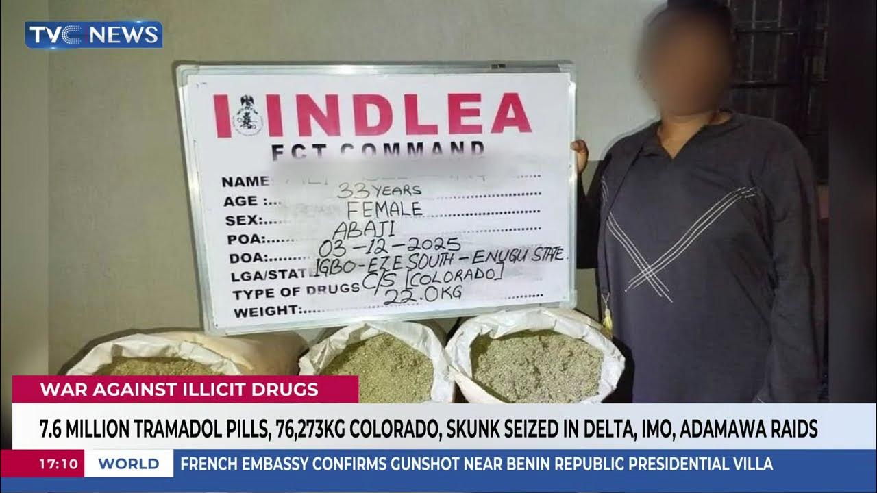 NDLEA Destroys Illicit Warehouses In Ekiti, Ondo Forests NDLEA Destroys Illicit Warehouses In Ekiti, Ondo Forests