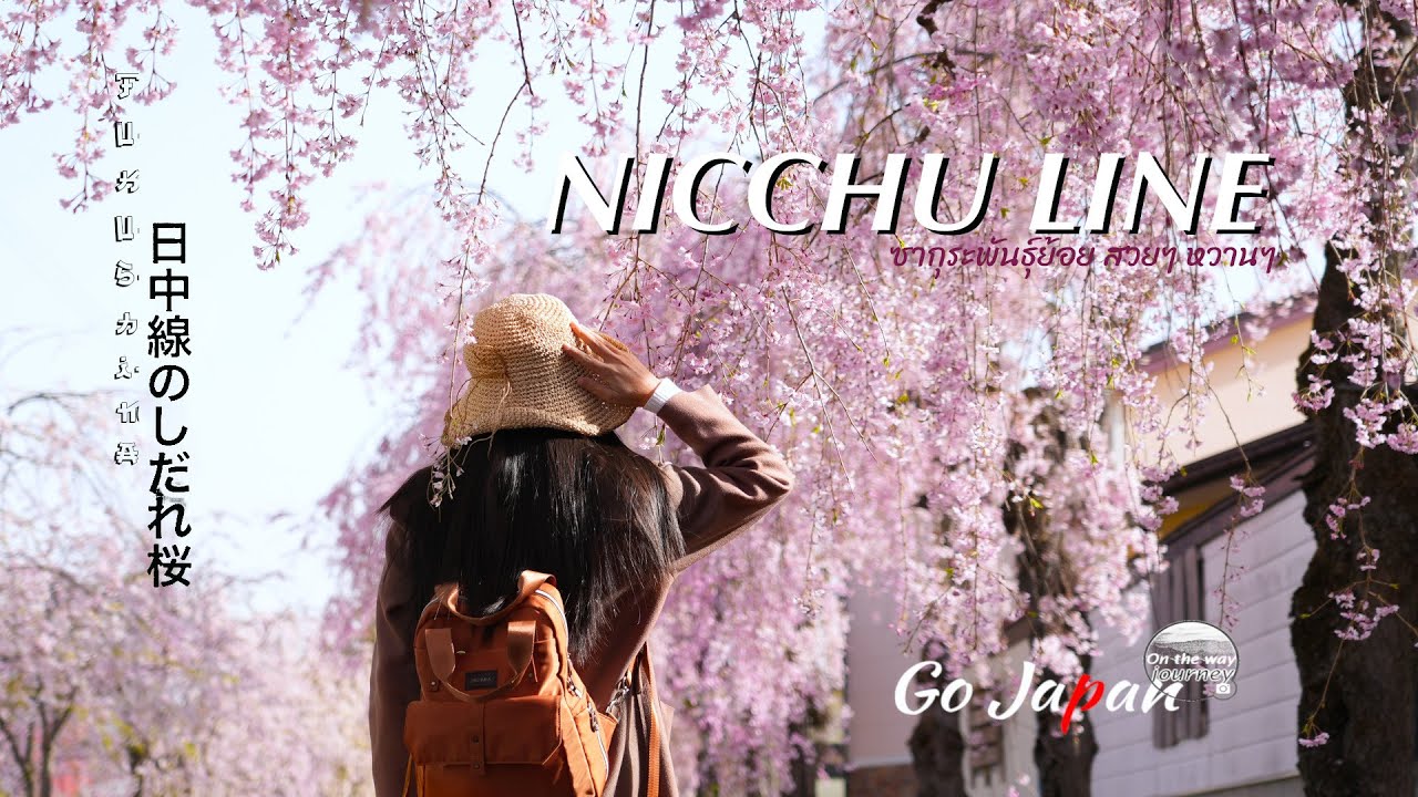 Nicchu line ซากุระพันธ์ย้อย สวย หวาน จริงๆ Go Japan 2023 ตามหาซากุระกับเรา | Onthewayjourney | Ep.29