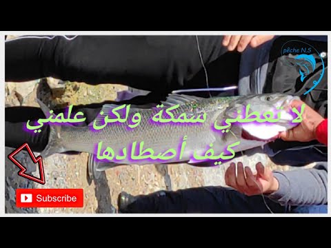 لا تعطني سمكة ولكن علمني كيف أصطادها