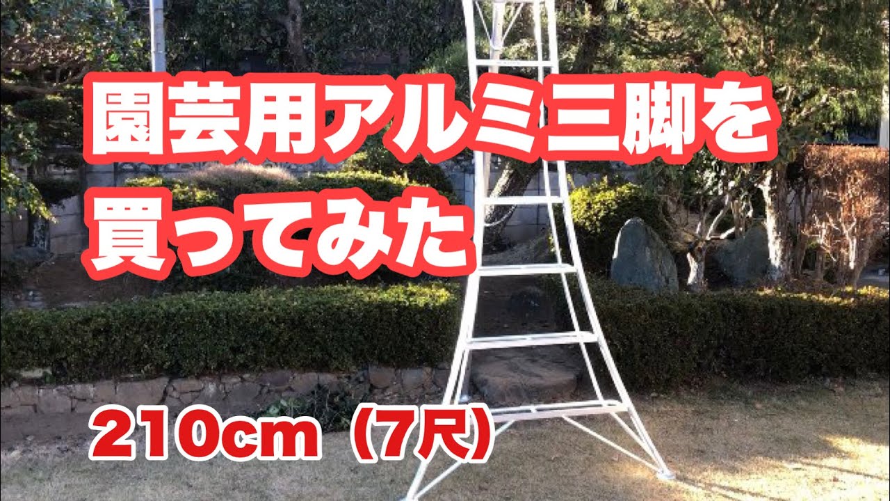 植木剪定はアルミ三脚必須です。購入したら安定抜群！高さ210cm（7尺