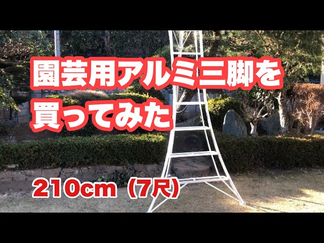 植木剪定はアルミ三脚必須です。購入したら安定抜群！高さ210cm（7尺