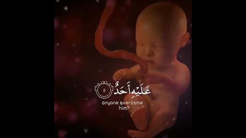 القارئ ماهر المعيقلي سورة البلد