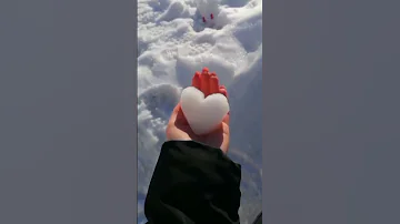 عشانك انا قادر اكمل 