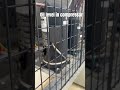 Checking oil level on compressor