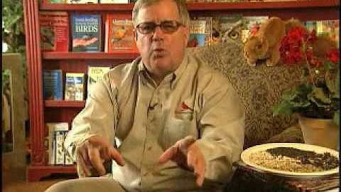 Introducing Bird Man Mel