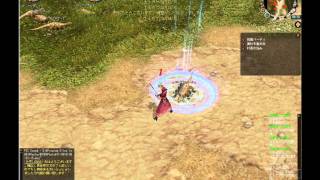KNIGHTS of KINGDOM メイジ Lv9 自動狩機能