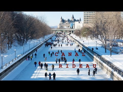 Vidéo: Ce Parc De L'Ontario A Une Piste De Patinage Bordée De Torches Tiki Pour Patiner à La Belle étoile