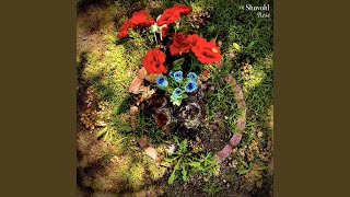 Roots