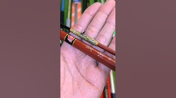 Cần hechi sakura #daiwa #caucathugian #docaunhatthanhcong #cầncâunhật #daiwa #shimano #docaugiare