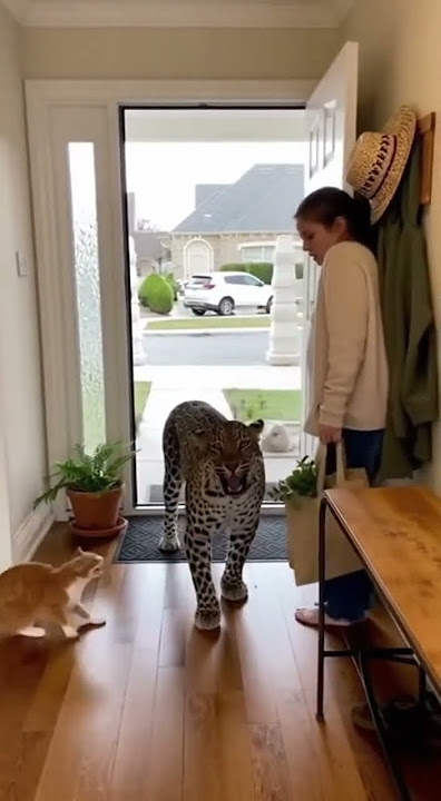 The moment the hunter became the hunted! ハンターが獲物になった瞬間!