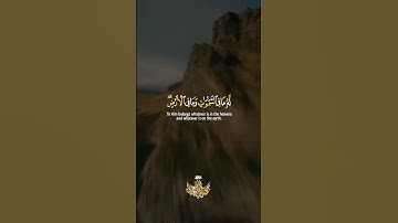 القارئ عبدالباسط عبدالصمد 🥺♥️