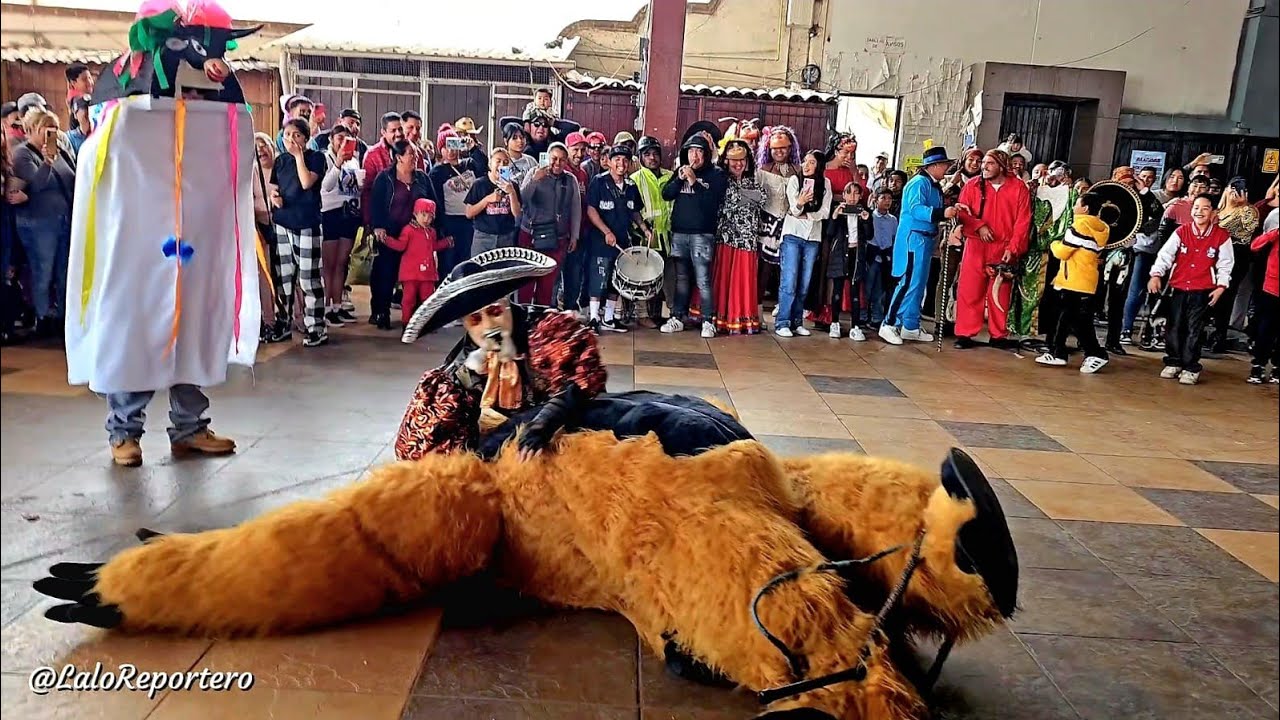 EL TORITO SE SALIÓ DE CONTROL | Torito 