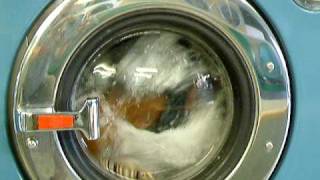 DSCF0102.AVI