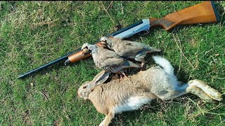 Tavşan Ve Kekli̇k Avi. Rabbit And Partridge Hunting.