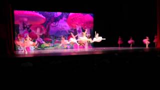 Tucson Dance Academy Spring 2014- Ballet 2
