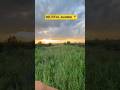 Beutiful Location 📍#trending #youtubeshorts #viral