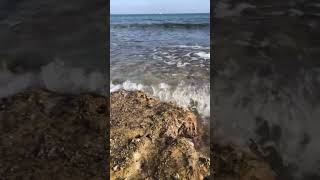 #traveltheworld #asmr #waves #spain #beach #playa #shorts