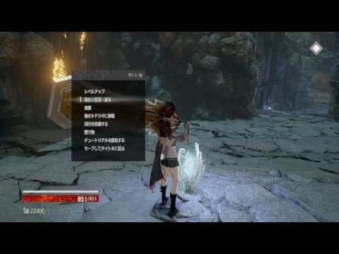 【CODEVEIN】lv1ソロで氷刃の従者倒す生放送するはずが一人寂しく倒してしまった動画【コードヴェイン】