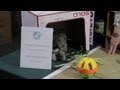 Rabbit Care & Sharing a Bedroom : Rabbit Care Tips Rabbit Care & Sharing a Bedroom : Rabbit Care Tips