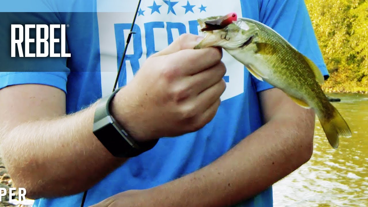 Rebel Deep Teeny Wee Crawfish Features - YouTube Rebel Deep Teeny Wee Crawfish Features - YouTube