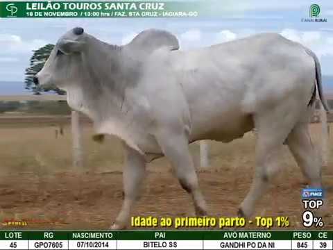 LOTE 045