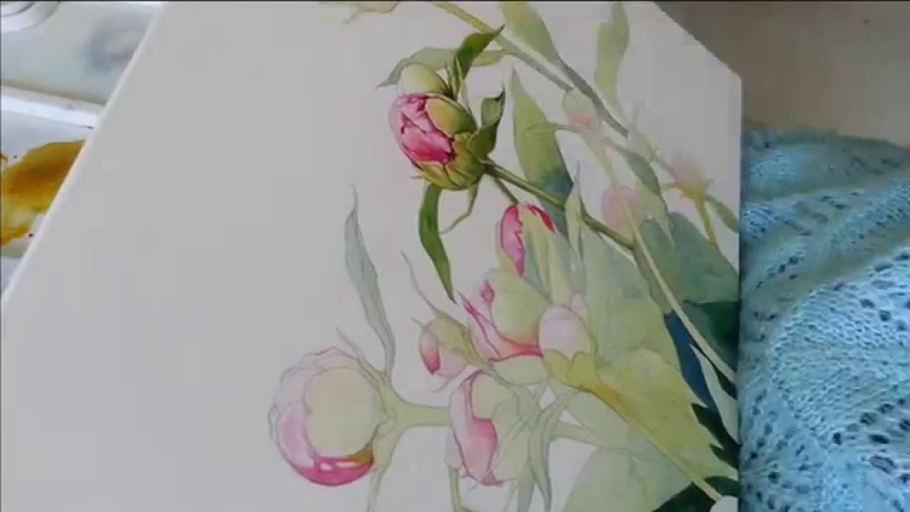 Pictta - Draw Peonies (Saint-P 2014)