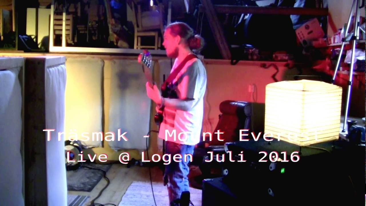 Träsmak framför Mount Everest