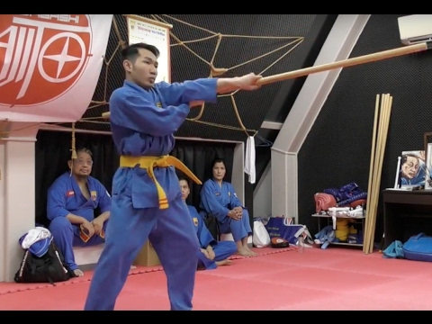 ボビナム PART16 VOVINAM ベトナム総合武術 格闘技 vovinam japan