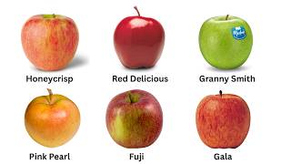 Every Apple Explained in 8 minutes Trying Every Apple 8 Gala Apples