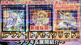 テラナイト　セイクリッド　レリーフ　初期　など　まとめ テラナイト セイクリッド レリーフ 初期 など まとめ - メルカリ