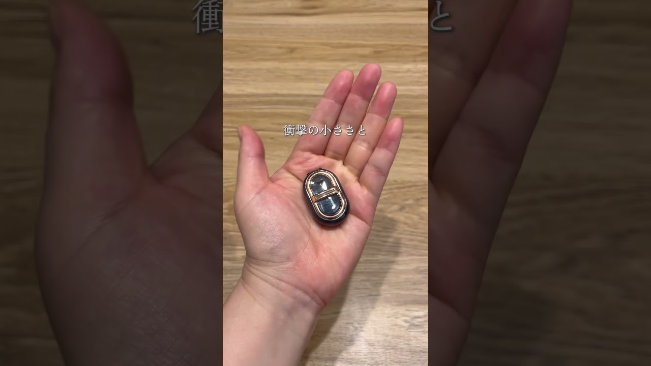 小さい音波虫除け器！