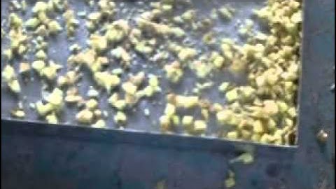 CHD100 ginger dicer/cuber/dicing machine