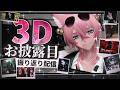 【3Dお披露目振り返り】実は本番中......【きつねさん】