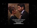 Tumhari Chup  (From "Gentleman") tumhari chup aur hamara lehja Atif Aslam