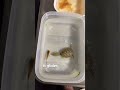 The Silent Ambush: Turtle’s Perfect Strike on a Tiny Fish #trending #viralvideo
