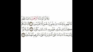 سورة الزخرف 5 القسم الخامس تكرار كيفي من .. وقالوا لو شاء الرحمن .. إلى .. وإنا على آثارهم مهتدون