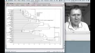 A course in Cognitive Linguistics: Polysemy