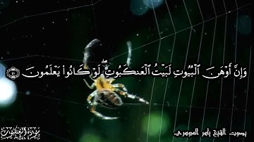 29 سورة العنكبوت Surat Al Ankabot - بصوت الشيخ ياسر الدوسري