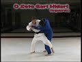 Daniela krukower  mi judo  o soto gari